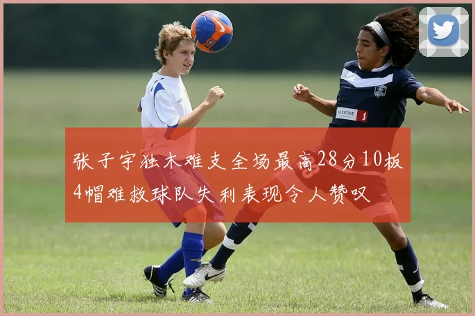 张子宇独木难支全场最高28分10板4帽难救球队失利表现令人赞叹