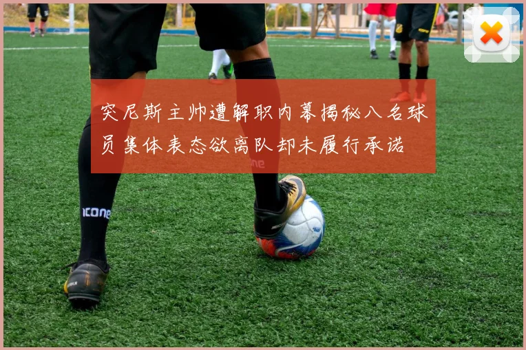 突尼斯主帅遭解职内幕揭秘八名球员集体表态欲离队却未履行承诺