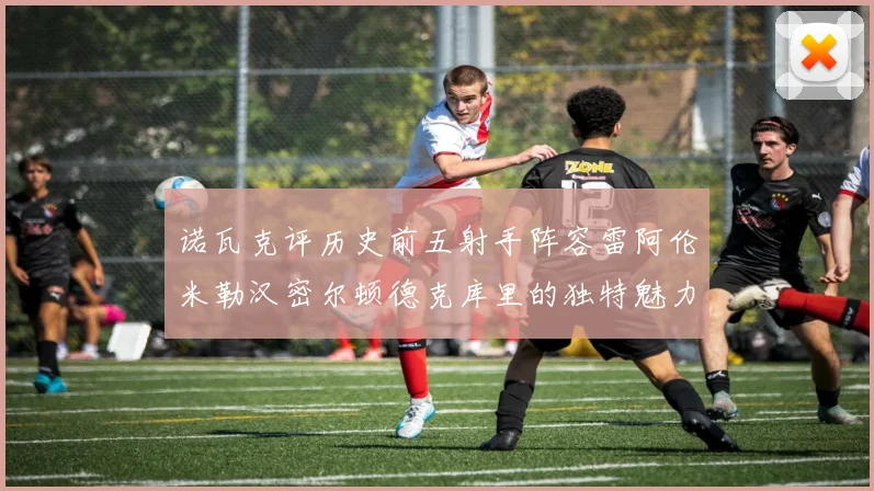 诺瓦克评历史前五射手阵容雷阿伦米勒汉密尔顿德克库里的独特魅力与影响