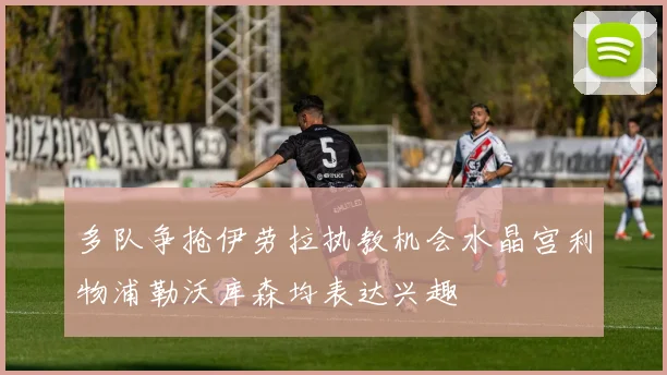 多队争抢伊劳拉执教机会水晶宫利物浦勒沃库森均表达兴趣